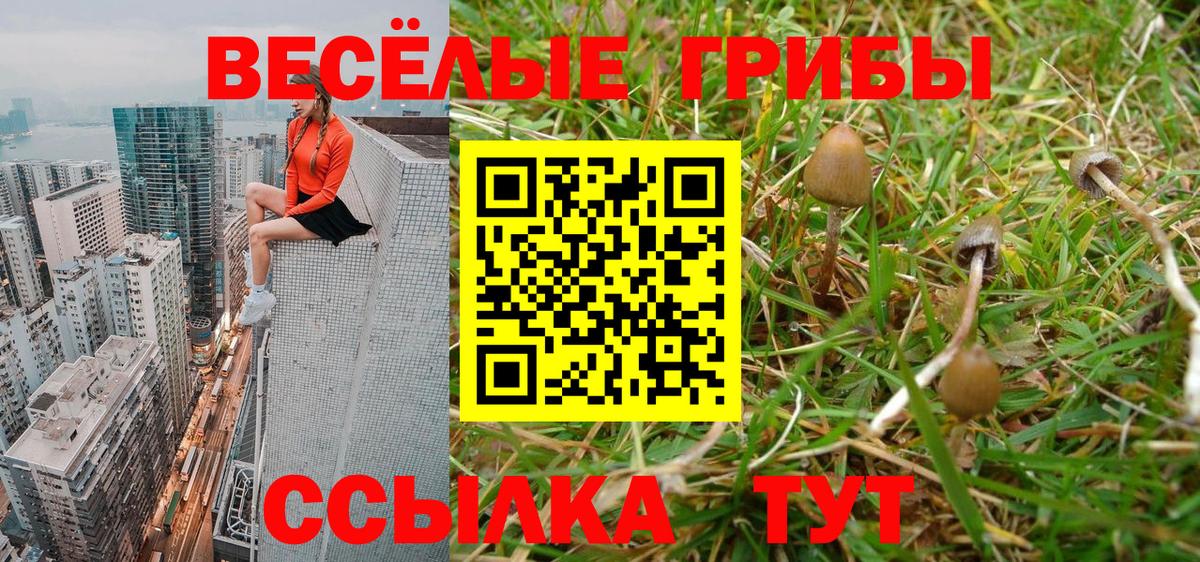 Галлюциногенные грибы Magic Shrooms Джанкой
