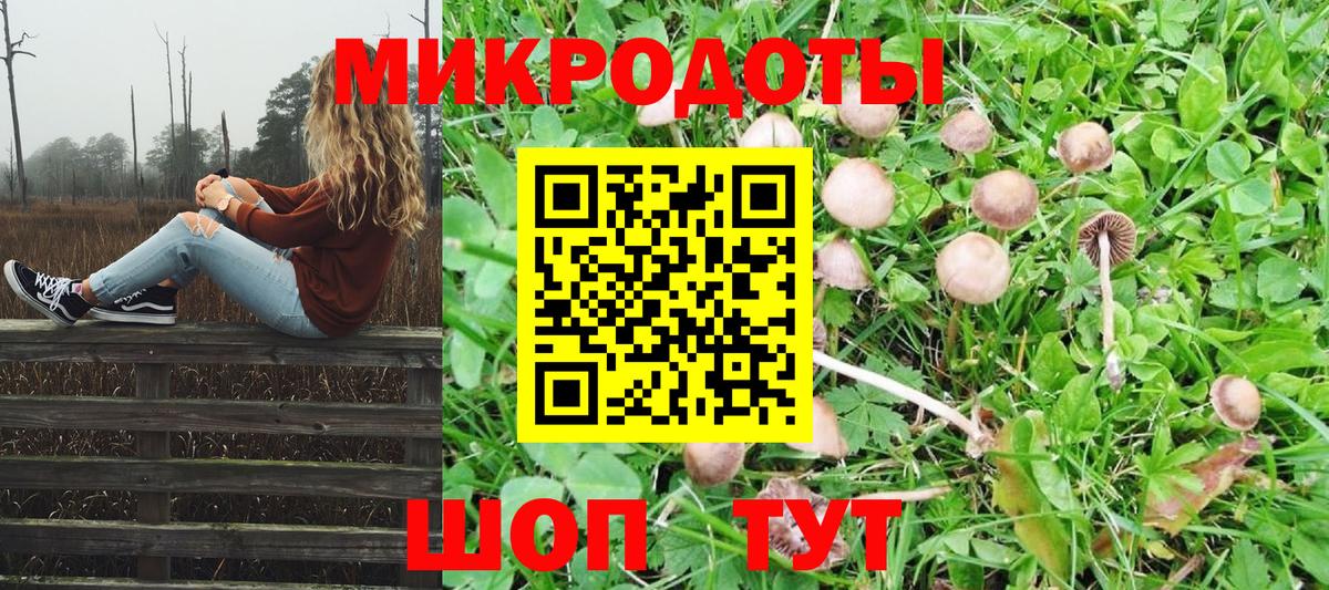 Псилоцибиновые грибы Psilocybine cubensis  Вход с VPN  Джанкой  Галлюциногенные грибы GOLDEN TEACHER 